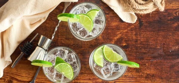 Le Club des Connaisseurs - article de blog : Gin fizz 2