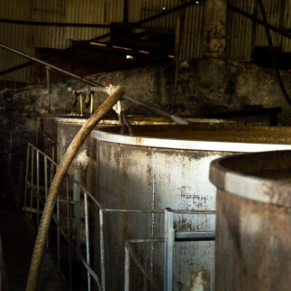 Image de la page marque de rhum agricole Longueteau sur le site Le Club des Connaisseurs : Cuves de fermentation traditionnelles en inox dans une distillerie de rhum agricole en Martinique, intérieur rustique.