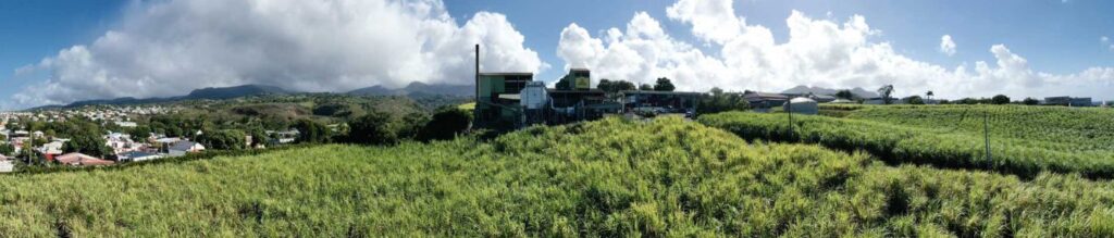 Panorama de la distillerie Bologne en Guadeloupe, entourée de champs de canne à sucre, avec les montagnes de Basse-Terre en arrière-plan.