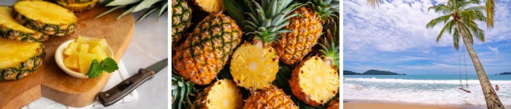 Image article rhum arrangé ananas le club des connaisseurs : Ananas Victoria découpé sur planche en bois, ananas entiers et tranchés vus de près, et plage tropicale avec cocotier et balançoire