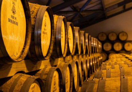 Fûts de vieillissement du rhum Bologne entreposés dans le chai de la distillerie en Guadeloupe.