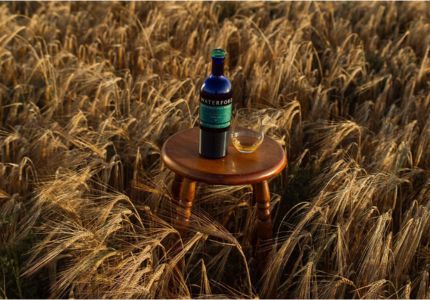 Bouteille de whisky Waterford posée sur un tabouret au milieu d’un champ d’orge mûr, illustrant le lien entre terroir et production artisanale.